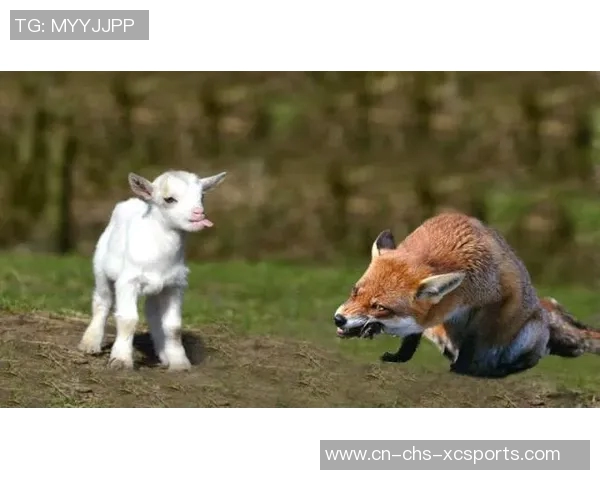 比利时与英格兰激战正酣谁将赢得这场足球盛宴的胜利 比利时与英格兰激战正酣谁将赢得这场足球盛宴的胜利